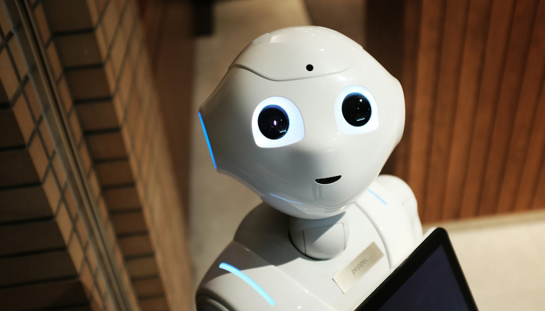 The future of AI-first search indexing